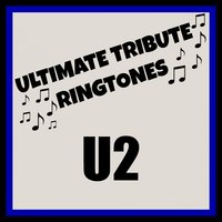 Magnificent (Tribute in the Style of U2) - DJ Mixmasters