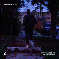 If U Wanted To - Fabian Mazur, Cameron Forbes