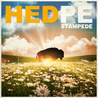 NOAPOLOGIES - (Hed) P.E.