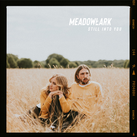 Still Into You - Meadowlark