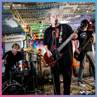 Hag Me - Jam in the Van, Melvins