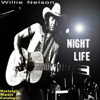 I Didn't Sleep A Wink - Willie Nelson