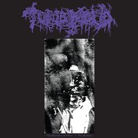 Bereavement of Flesh - Tomb Mold