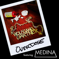 Overdose - Wolfgang Gartner, Medina