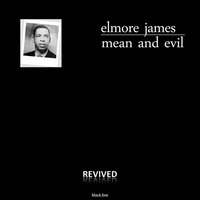 The Way You Treat Me (Mean and Evil) - Elmore James