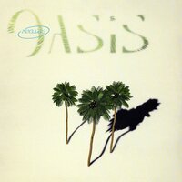 Oasis - Paragliders, Oliver Lieb