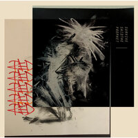 Red - Survive Said the Prophet