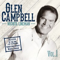 Didn't We - Glen Campbell