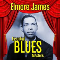 Sinful Women - Elmore James