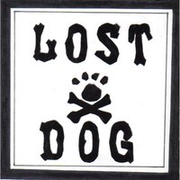 404 - Lost Dog Street Band