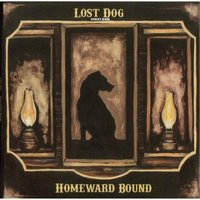 Carry On - Lost Dog Street Band