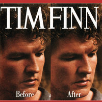 In Love With It All - Tim Finn