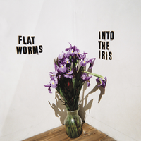 Surreal New Year - Flat Worms