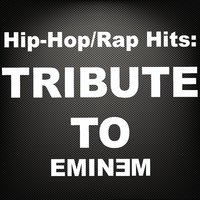 Crack a Bottle (Tribute in the Style of Eminem) - DJ Mixmasters