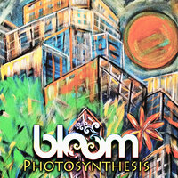 Photosynthesis - Bloom