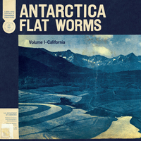 Plaster Casts - Flat Worms