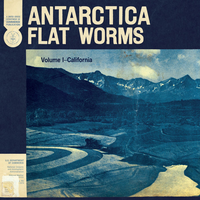 Wet Concrete - Flat Worms