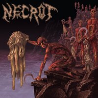 Stench of Decay - Necrot