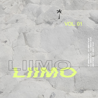 Thinking About It - LIIMO