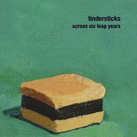 what are You fighting for? - Tindersticks