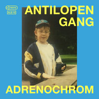 Pepsi und Basmatireis - ANTILOPEN GANG
