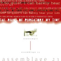 Never Forgive - Assemblage 23