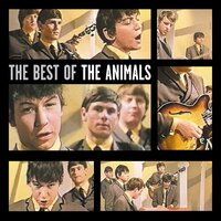Inside Looking Out - The Animals