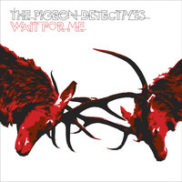 Romantic Type - The Pigeon Detectives