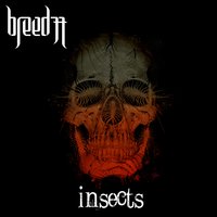 Insects - Breed 77