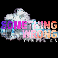 Something Wrong - Timeflies