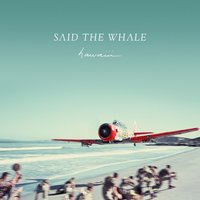 On the Ropes - Said The Whale