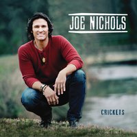 Just Let Me Fall In Love With You - Joe Nichols