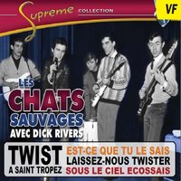 Le jour J - Les Chats Sauvages