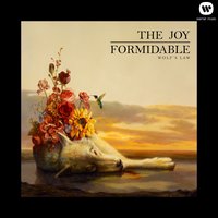 The Leopard and the Lung - The Joy Formidable, Matt Thomas, Rhydian Dafydd