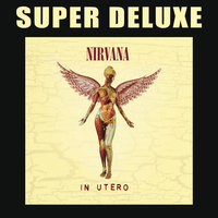 Heart Shaped Box - Nirvana