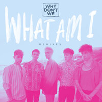 What Am I - Why Don't We, Martin Jensen