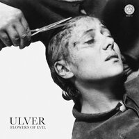 Machine Guns and Peacock Feathers - Ulver