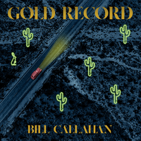As I Wander - Bill Callahan