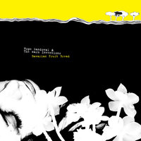 Around My Smile - Hope Sandoval, The Warm Inventions