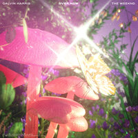 Over Now - Calvin Harris, The Weeknd