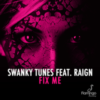 Fix Me - Swanky Tunes, Raign
