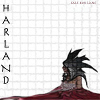 Salt Box Lane - Shelley Harland