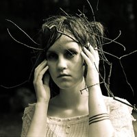 We Fell - Johanna Warren