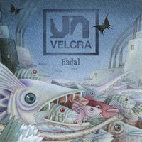 Dusk Becomes a Dawn - Velcra