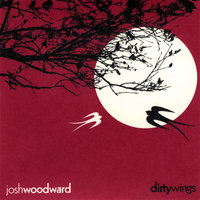 I Want to Destroy Something Beautiful - Josh Woodward