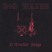 Long Way Down - Bob Wayne