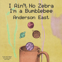 I Ain't No Zebra I'm a Bumblebee - Anderson East