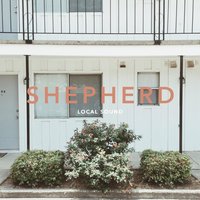 Shepherd - Local Sound