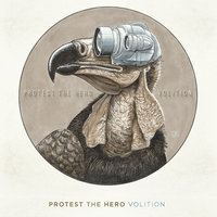 Animal Bones - Protest The Hero