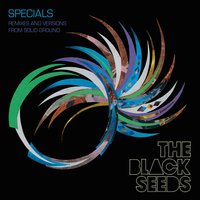 Make a Move - The Black Seeds, Mc's Mighty Asterix, Switch
